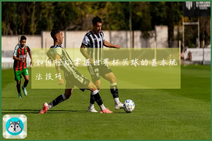 如何轻松掌握世界杯买球的基本玩法技巧
