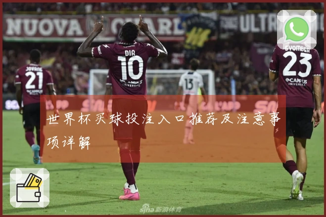 世界杯买球投注入口推荐及注意事项详解