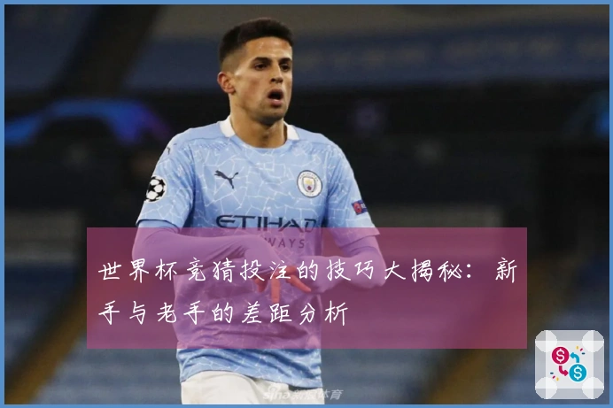 世界杯竞猜投注的技巧大揭秘：新手与老手的差距分析