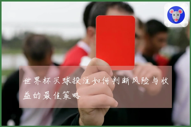世界杯买球投注如何判断风险与收益的最佳策略