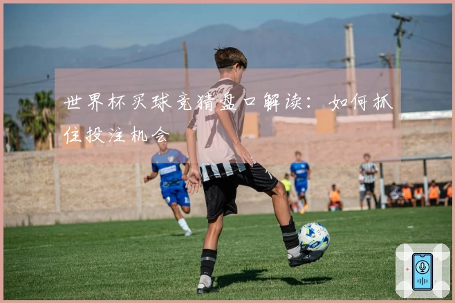 世界杯买球竞猜盘口解读：如何抓住投注机会
