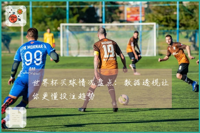 世界杯买球情况盘点：数据透视让你更懂投注趋势
