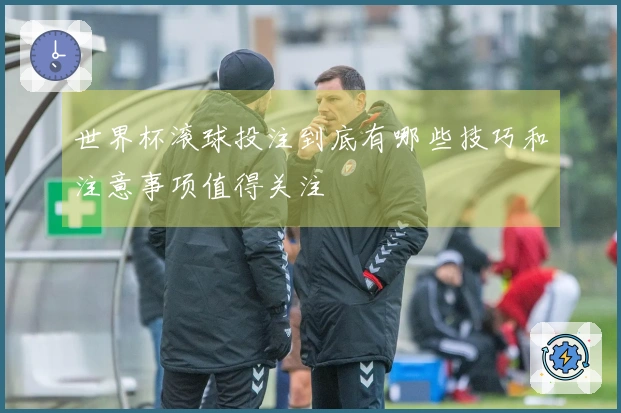世界杯滚球投注到底有哪些技巧和注意事项值得关注