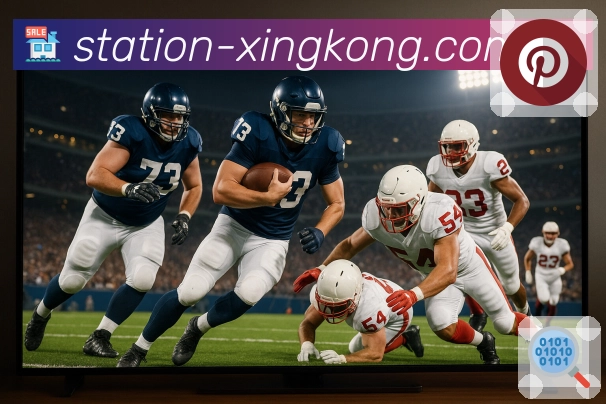 星空体育app隐私保护与安全策略